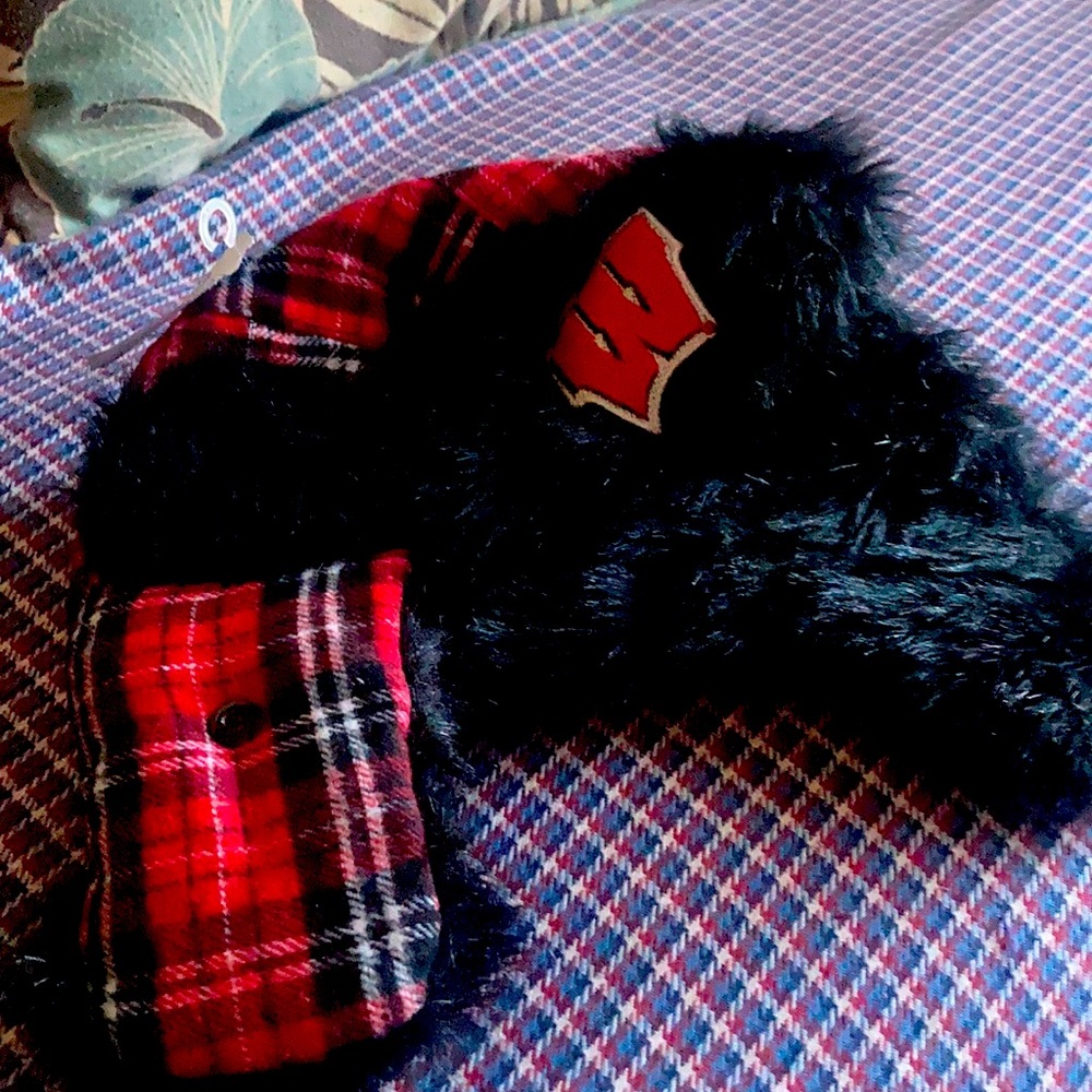Wisc! Winter hat by kohl’s